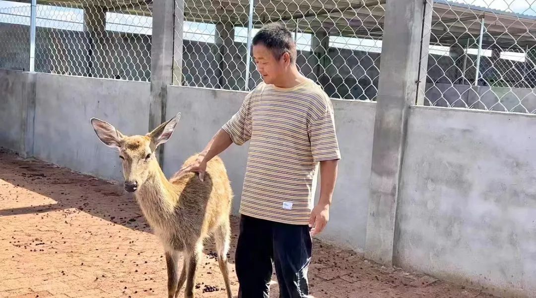 永利在线官方
